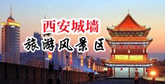 搞色网站欧美中国陕西-西安城墙旅游风景区